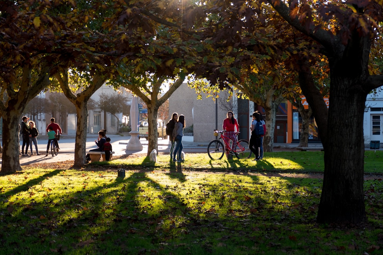 The Role of FIT Alumni in Global Intercultural Dialogue